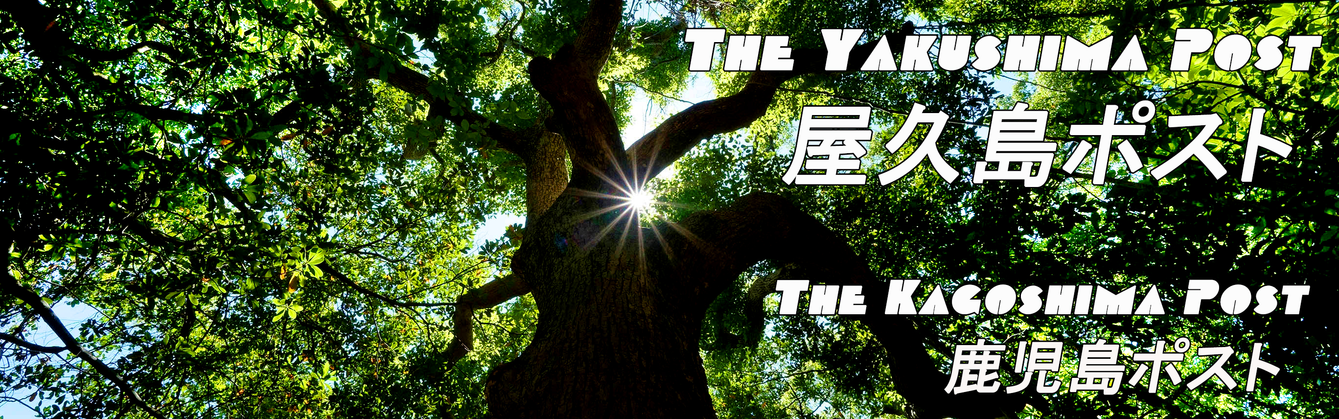 私たちについて｜屋久島ポスト - The Yakushima Post