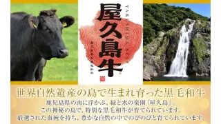 yakushima-beef-320x180.webp
