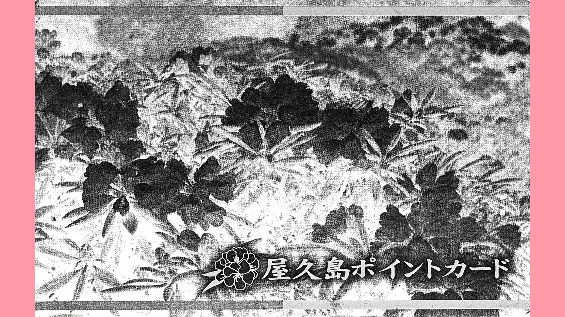 【視点】屋久島町の大失策、物価高支援で交付金411万円を国に返還へ
