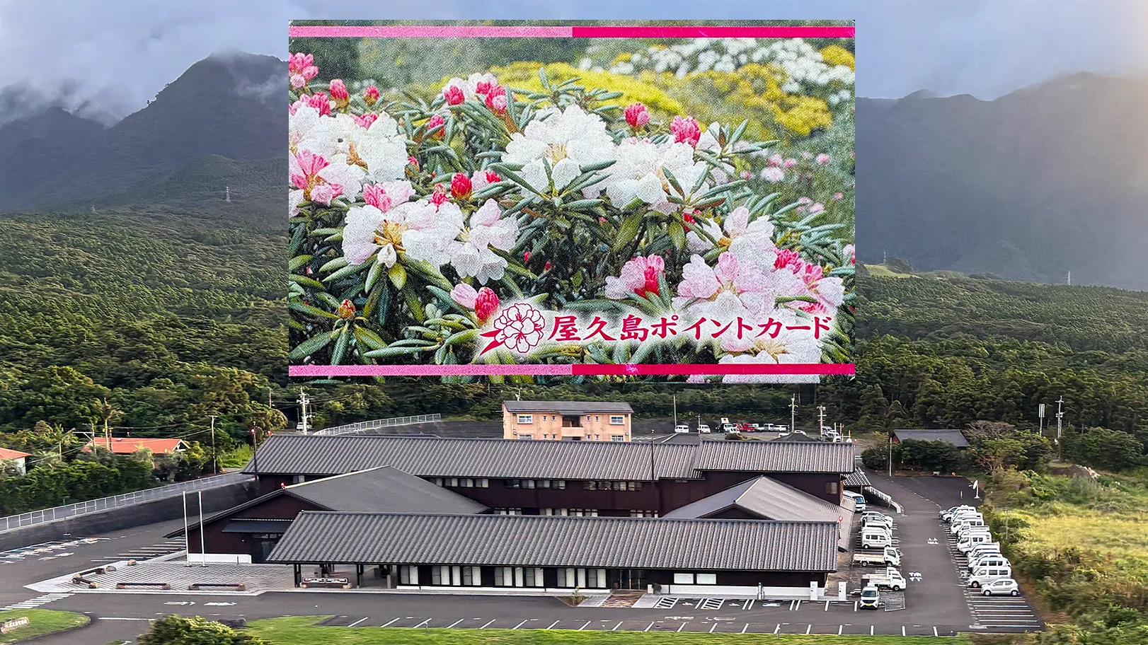 交付金411万円を国に返還へ、屋久島ポイントカードの物価高支援